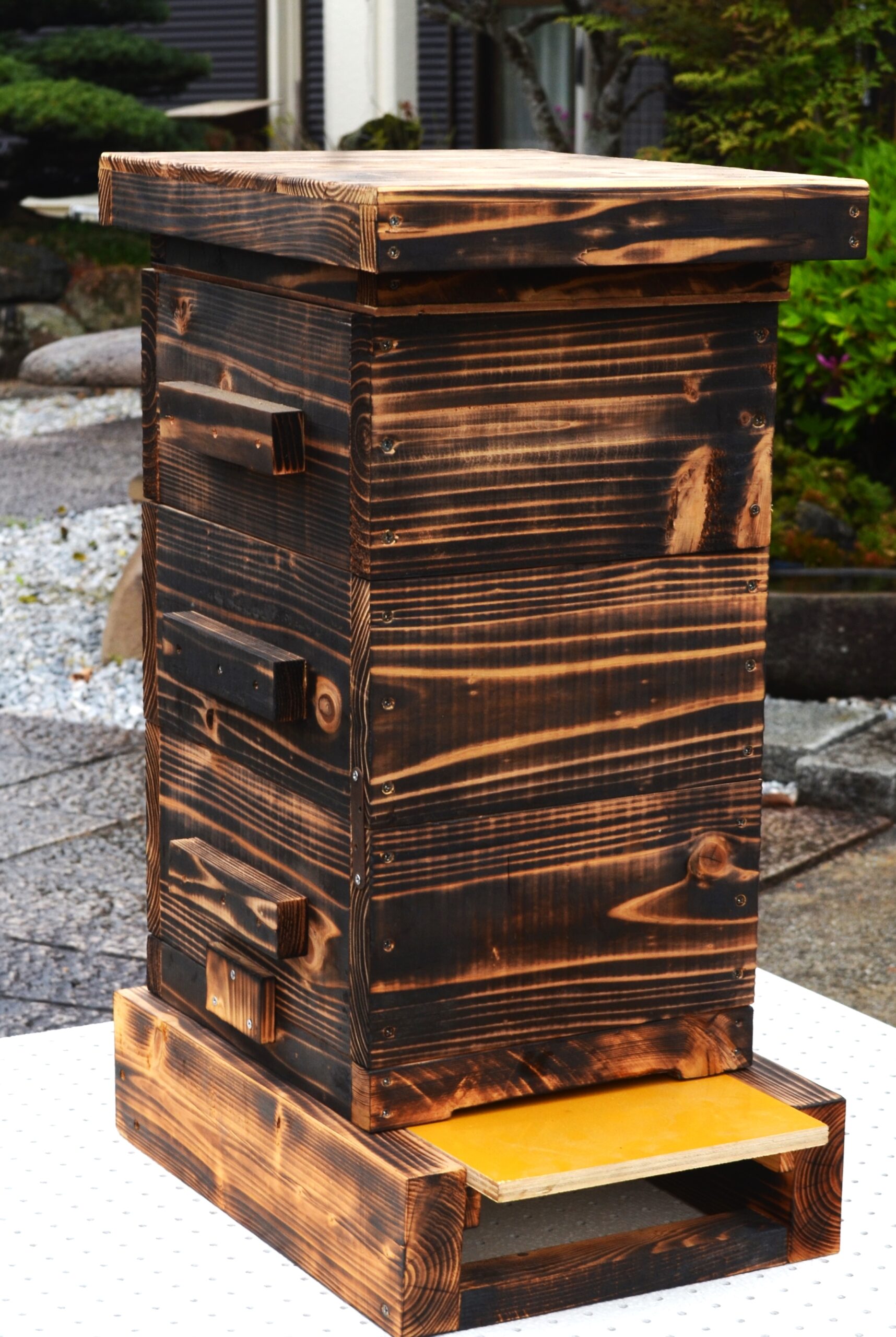 日本蜜蜂 重箱用 4面巣門 30cm用